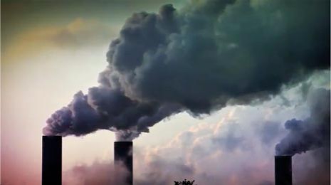 Business unit Fiber Composites & Paper Products